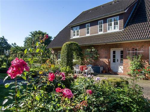  - 3 personer -  - Dorfstraße - 25836 - Welt