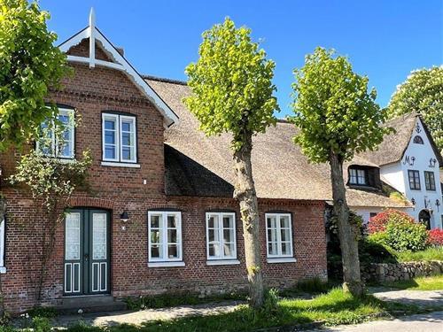 Feriehus - 4 personer -  - Ocke-Nerong-Straße - 25938 - Wyk Auf Föhr