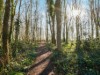 Bild 39