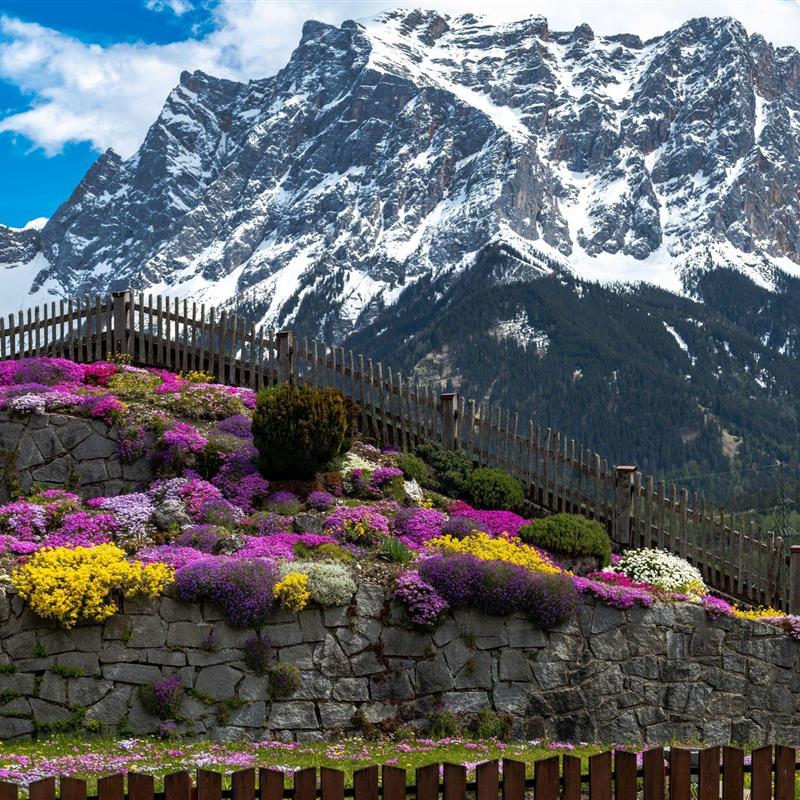 Værelse - 2 personer -  - Pfarrgasse - 6633 - Biberwier