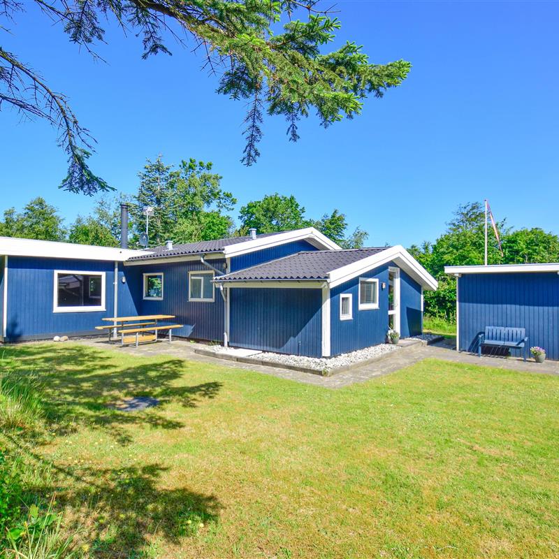 Ferienhaus - 4 Personen -  - Gråstensborgvej - Nr. Hede Øst - 6990 - Ulfborg