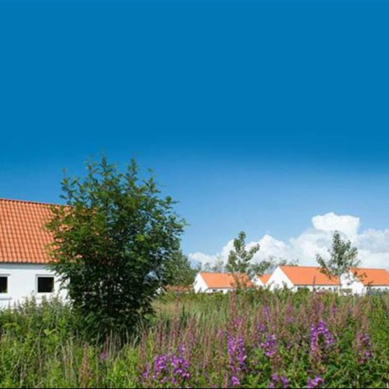 Ferienhaus - 4 Personen -  - Tranevej - Aalbæk - 9990 - Skagen