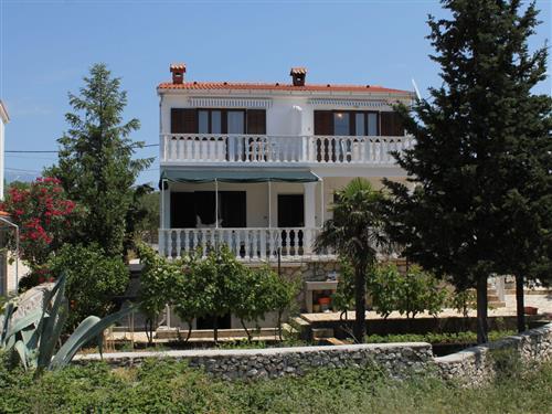 Ferieleilighet - 3 personer -  - Zaglavarski put - 53291 - Novalja