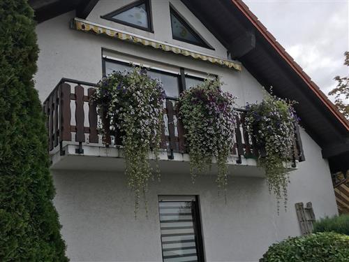 Ferieleilighet - 4 personer -  - An den Weingärten - 55450 - Langenlonsheim