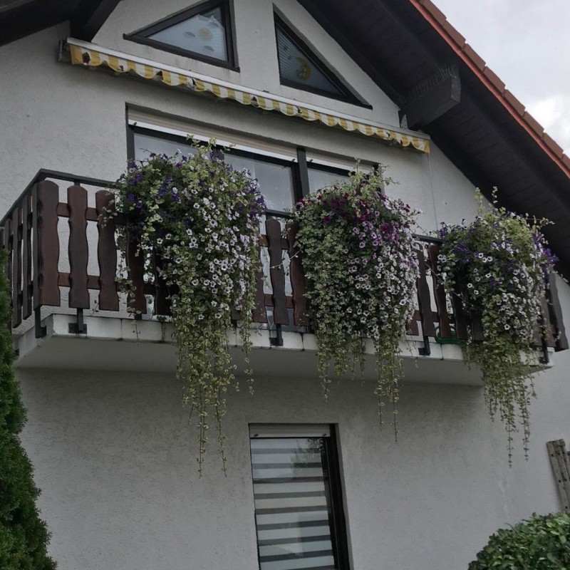 Ferielejlighed - 4 personer -  - An den Weingärten - 55450 - Langenlonsheim