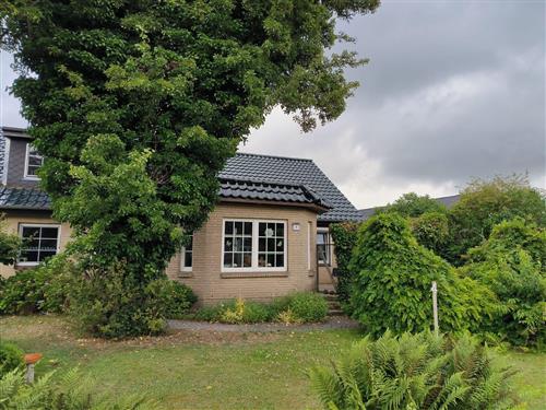 Ferienwohnung - 2 Personen -  - Dorfstr. - 24870 - Ellingstedt