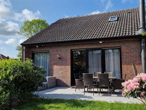 Feriehus - 8 personer -  - Damsum - 26427 - Holgast