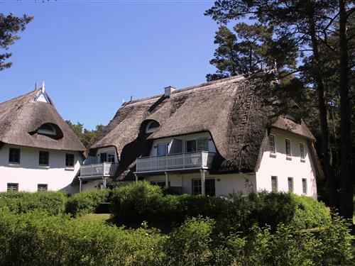 Holiday Home/Apartment - 2 persons -  - Achtern Diek - 18374 - Zingst