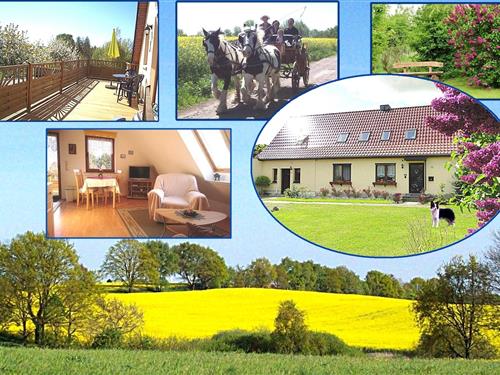 Ferienwohnung - 2 Personen -  - Bendhof - 19205 - Lützow