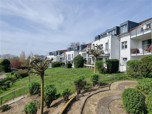 Ferielejlighed - 4 personer -  - Heimweg - 17454 - Zinnowitz