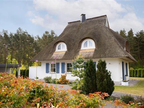 Sommerhus - 6 personer -  - 18356 - Fuhlendorf