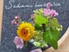 Bild 40