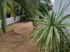 Bild 19