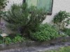 Bild 33