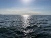 Billede 37