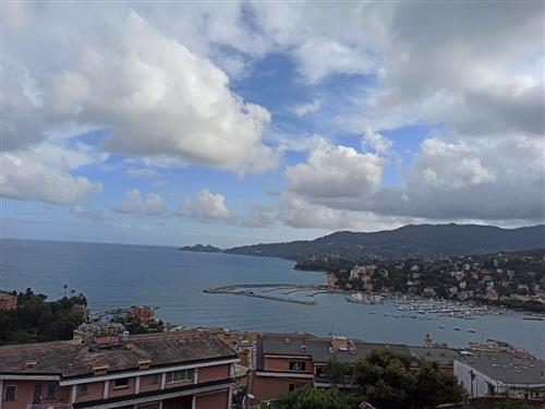 Ferienhaus - 6 Personen -  - via Privata Bozzo Costa, - 16035 - Rapallo