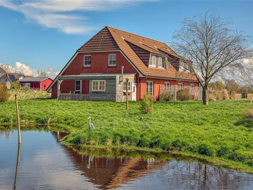 Holiday home - 4 persons -  - Deichgrafenstraße 52; Haus - 25832 - Tönning