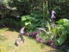 Image 16