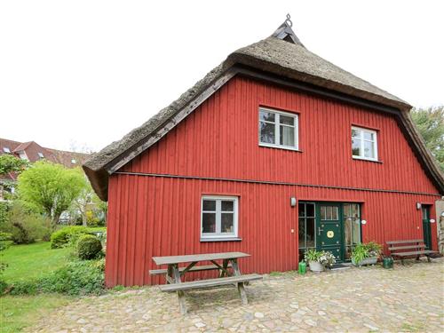 Semesterlägenhet - 2 personer -  - Hafenstraße - 18374 - Pramort