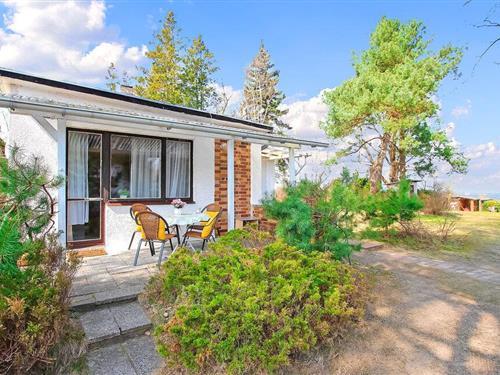 Holiday home - 4 persons -  - Dorfstraße - 17373 - Ueckermünde Ot Bellin
