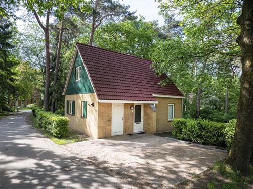 Holiday Home/Apartment - 6 persons -  - Westelbeersedijk - 5087 TK - Diessen-Baarschot