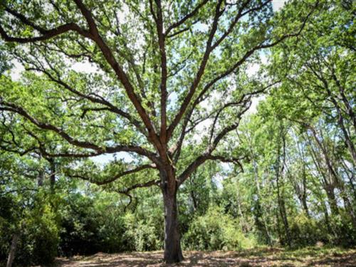 Semesterlägenhet - 6 personer -  - 11700 - Azille