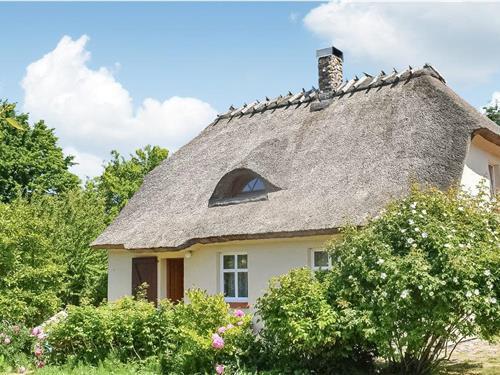 Holiday home - 11 persons -  - Wiejska - 78-111 - Ustronie Morskie