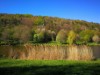 Bild 15