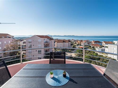 Ferielejlighed - 4 personer -  - Poljana Dragutina Domjanica - 23000 - Zadar