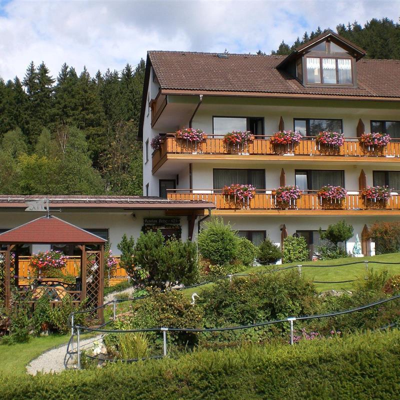 Ferielejlighed - 1 person -  - Hüttenweg - 95485 - Warmensteinach