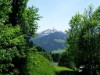 Bild 31