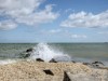 Bild 3 - Blick über's Wasser