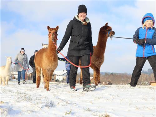 Ferielejlighed - 4 personer -  - Tabing - 83339 - Chieming