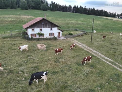 Ferienhaus - 4 Personen -  - Les Barrières - 2340 - Le Noirmont