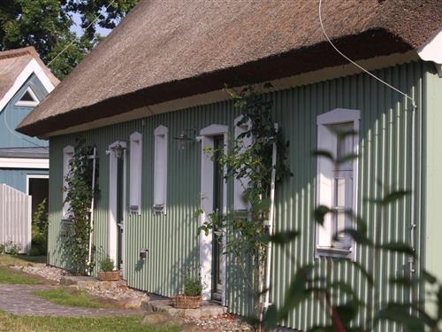 Ferieleilighet - 3 personer -  - Trommelplatz - 18375 - Wieck A. Darß