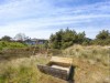 Bilde 26
