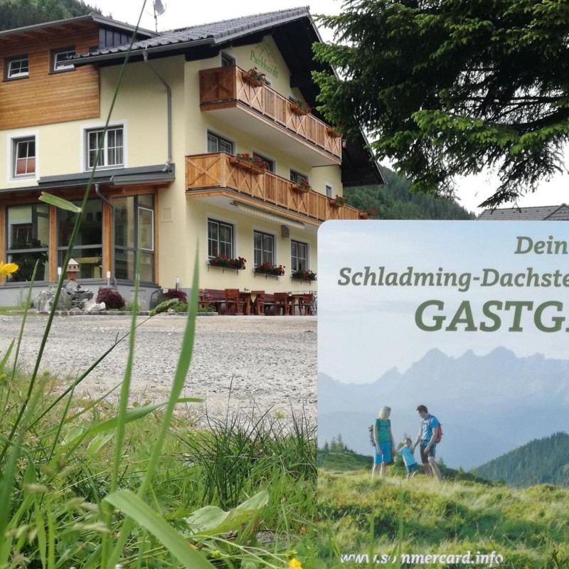 Ferielejlighed - 4 personer -  - Donnersbachwald - 8953 - Donnersbach