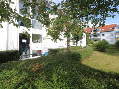 Holiday Home/Apartment - 4 persons -  - Darßer Weg - 18374 - Zingst