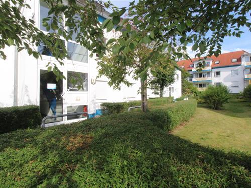 Ferielejlighed - 4 personer -  - Darßer Weg - 18374 - Zingst