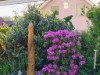 Bilde 3