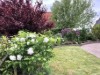 Bilde 7