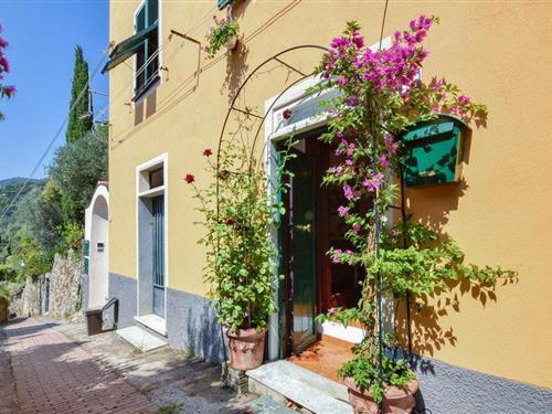 Sommerhus - 3 personer -  - Via alla Chiesa - 16031 - Pieve Ligure