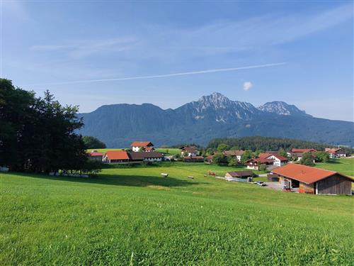 Bauernhof - 3 persons -  - Högler Straße - 83451 - Piding