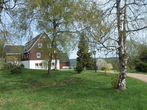 Ferienwohnung - 2 Personen -  - Hauptstraße - 01773 - Altenberg