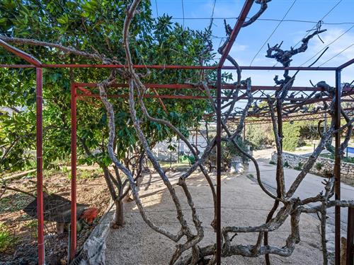 Holiday apartment - 3 persons -  - Donji Banovci - Sibenik-Grebastica - 22000 - Grebastica