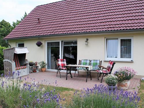 Feriehus - 4 personer -  - 23968 - Hohenkirchen