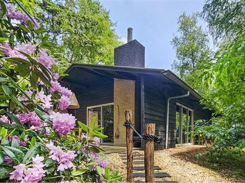 Ferienhaus - 4 Personen -  - Elfde Wijk - 7797 HH - Rheezerveen