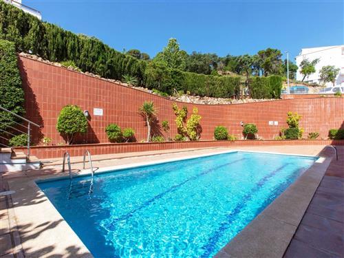 Ferienhaus - 6 Personen -  - Tossa De Mar - 17320