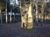 Bild 19