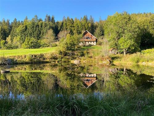 Semesterlägenhet - 16 personer -  - Pleckenstein - 94089 - Neureichenau